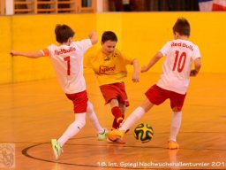 mini-Schlins-U9-Spiegl-DSC_1243